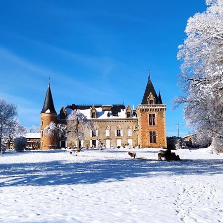 Chateau De La Forie Saint-Etienne-sur-Usson Bagian luar foto