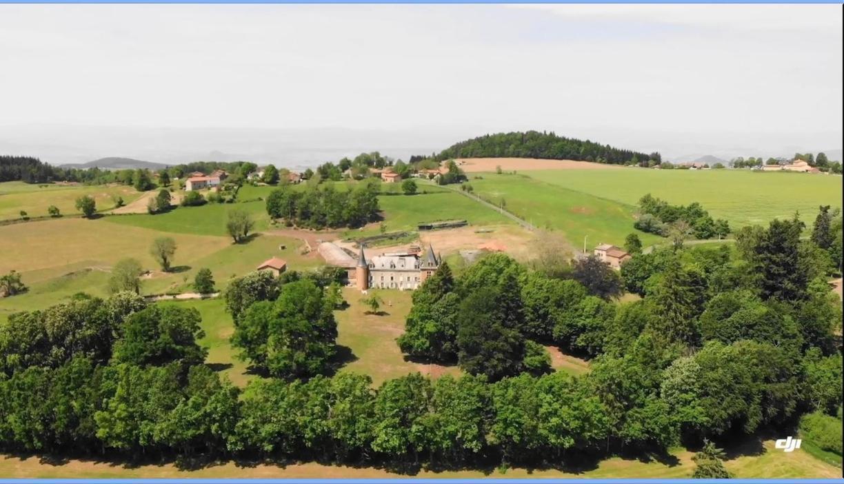 Chateau De La Forie Saint-Etienne-sur-Usson Bagian luar foto