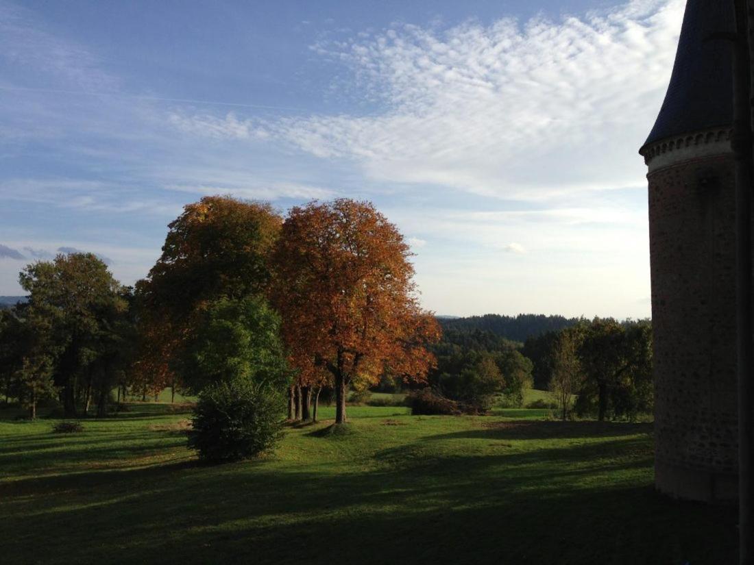Chateau De La Forie Saint-Etienne-sur-Usson Bagian luar foto