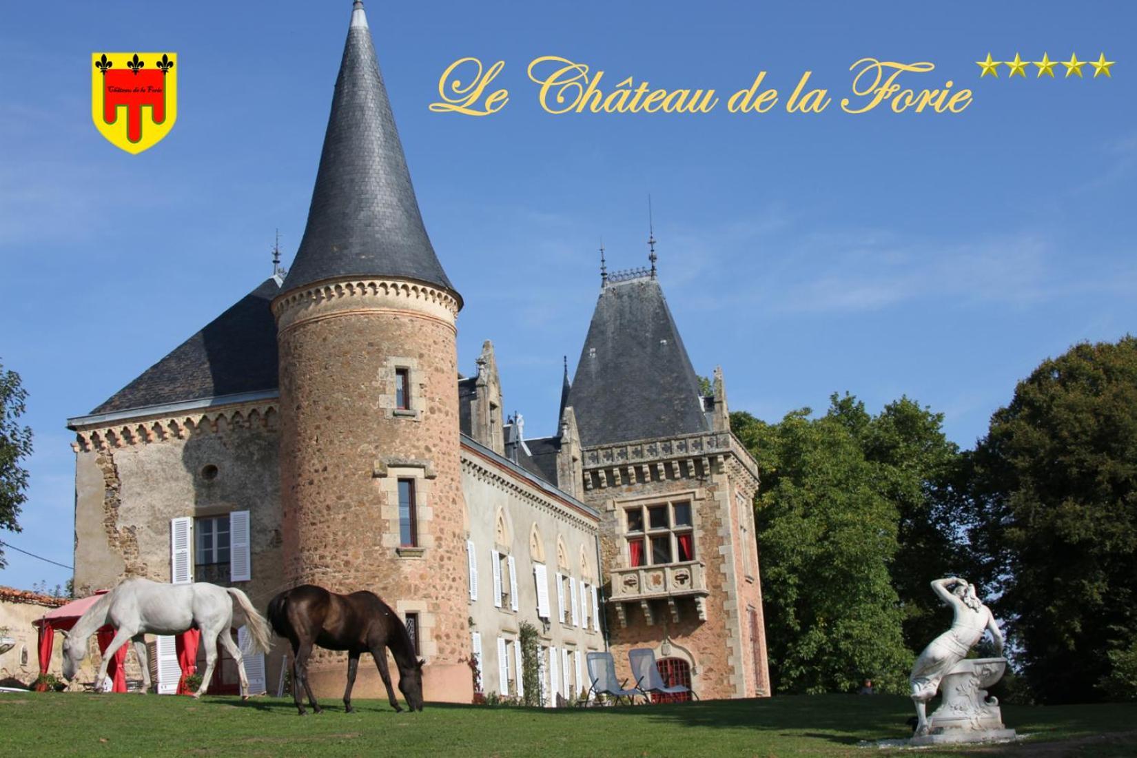 Chateau De La Forie Saint-Etienne-sur-Usson Bagian luar foto